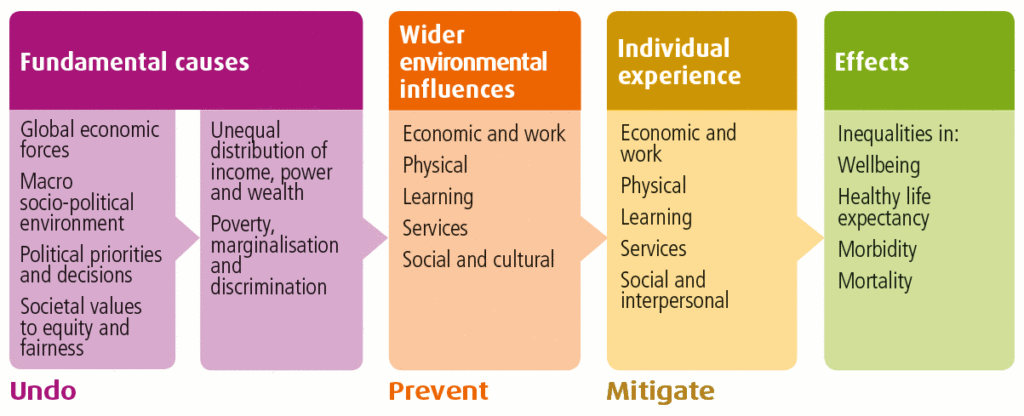 Causes of health inequalities